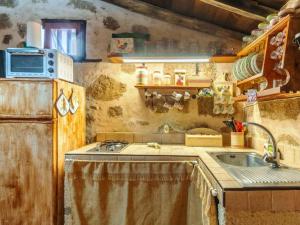 Arico el NuevoLive Arico Lagar的一间带水槽和微波炉的小厨房
