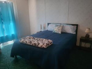 ScrantonA rest after a day in the Death Valley desert的一间卧室配有一张带蓝色床单和枕头的床。