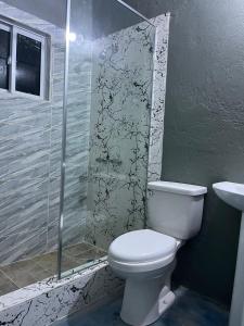 尼格瑞尔SerenitHe的一间带卫生间和玻璃淋浴间的浴室