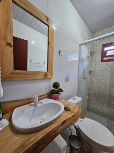 乌鲁比西Pousada Morada dos Sonhos的一间带水槽、卫生间和镜子的浴室