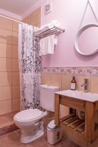 帕索德洛斯利布雷斯Alta Pinta的一间带卫生间、水槽和镜子的浴室