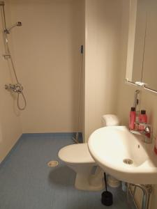 瓦尔考斯Warkhaus Apartments Korpela的浴室配有白色卫生间和盥洗盆。
