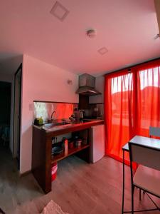 厄尔查尔坦Hostel El Paredon的一间厨房,里面配有红色窗帘和水槽