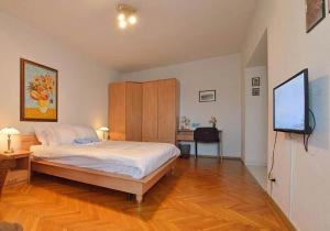 布加勒斯特阿特拉斯罗马力士一室公寓酒店的一间卧室配有一张床和一台平面电视