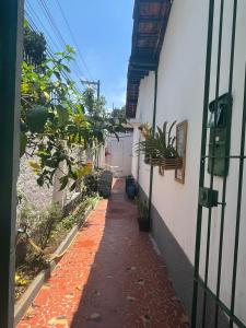 圣保罗Casa Térrea SP Expo e C Paralimpico的建筑一侧有植物的狭窄小巷