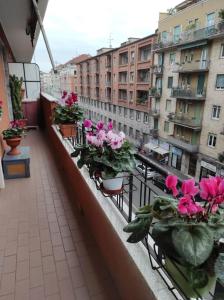米兰La Casa di Leo - Milano Bovisa的阳台种有盆栽植物和鲜花