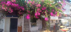 马尔马里斯Happy Accomation Houses 192mt toHarbour的房子前有粉红色花的树