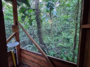 OritoCabaña Leucopternis - in the middle of Amazon forest的从树屋可欣赏到热带雨林的窗户