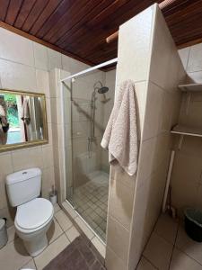 斯泰伦博斯Santika Garden Cottage Stellenbosch的带淋浴、卫生间和玻璃门的浴室