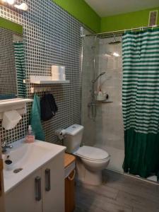 坎德拉里亚Apartamento en Tenerife Islas Canarias的浴室配有卫生间、淋浴和盥洗盆。