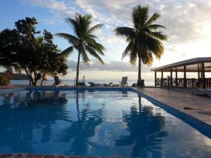 Naviti IslandKorovou Eco Tour Resort的一座棕榈树和海洋游泳池