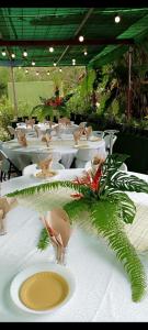 圣路易斯Camping D'Tente Paradise的一张桌子,上面有白色的桌子和椅子,上面有植物
