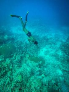 Naviti IslandKorovou Eco Tour Resort的一个人在海洋中游泳
