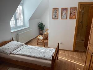 波切尼斯Penzion Olga Hajasova的一间卧室配有一张床和一把椅子