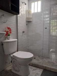 巴兰基亚HABITACIÓN INDEPENDIENTE y APARTAESTUDIO MONOAMBIENTE的白色的浴室设有卫生间和淋浴。