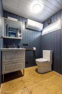 布拉格Houseboat - best place in Prague的一间带卫生间、水槽和镜子的浴室