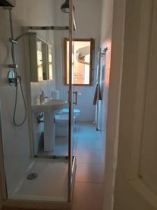 博洛尼亚La Casa in Sant'Apollonia的带淋浴、盥洗盆和镜子的浴室