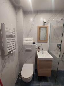 比得哥什Apartamenty Jaskółcza的白色的浴室设有卫生间和水槽。