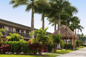 萨拉索塔Ramada by Wyndham Sarasota Waterfront的一座棕榈树建筑