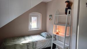 库罗阿尔滕堡Haus Stefanie Elvire的小卧室设有一张床和梯子