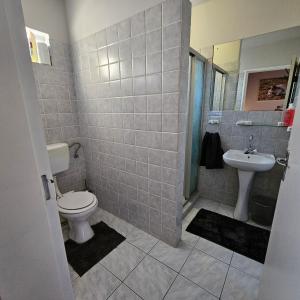 楚梅布Tamboti Farm Accommodation的一间带卫生间和水槽的浴室