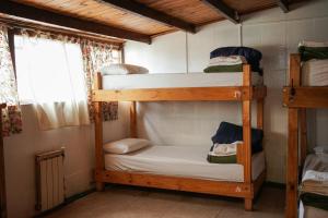 圣卡洛斯-德巴里洛切Alaska Patagonia Hostel的一间卧室设有两张双层床和一扇窗户。