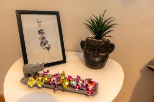 阿尔塔Korte Apartment 1的一张桌子,上面有植物,一张照片和一个花瓶