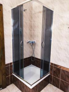 穆卡切沃Hotel Delfin的浴室里设有玻璃门淋浴