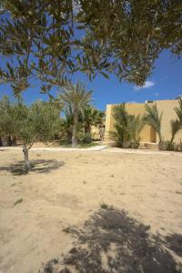 MellitaDar Almassa的享有沙漠的树木和建筑美景