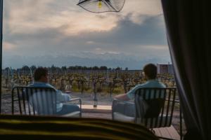 图蓬加托火山Andeluna Winery Lodge的坐在椅子上看着葡萄园的两个人
