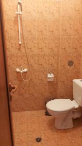 BistrizaПочивна станция - ТЕЦ Бобов дол的一间带卫生间和淋浴的浴室