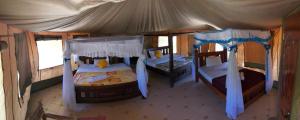 OlolaimutiekEco Mara Tented Camp的房屋内设有一间带两张双层床的卧室