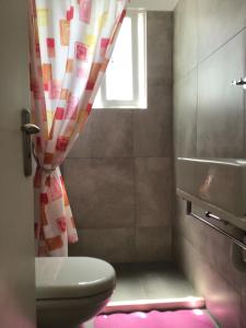 古维亚Villa Rosa Apartments的一间带卫生间和窗户的浴室