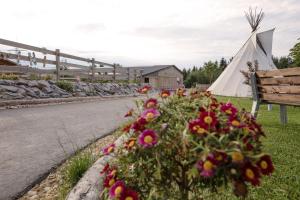 ElterleinRanchhouse Smoker- Westernstable - Horse的白色帐篷、长凳和一些鲜花