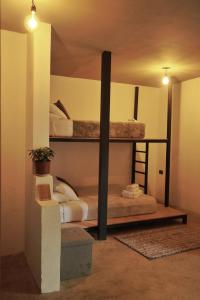 蒙泰韦尔德哥斯达黎加OutBox Inn的一间卧室配有两张双层床。