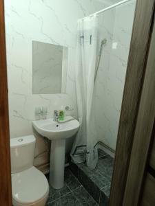 阿拉木图Apart 41的浴室配有卫生间、盥洗盆和淋浴。