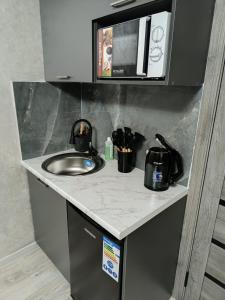 阿拉木图Apart 41的厨房柜台设有水槽和微波炉