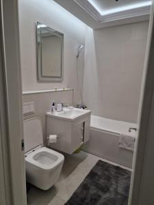 雅西Freya Residence的一间带卫生间、水槽和镜子的浴室