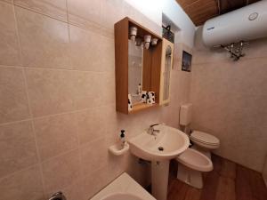 BalmeLa casa nell'airetta的一间带水槽和卫生间的浴室