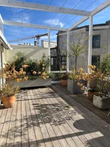 维也纳Luxury City Penthouse Apartment的一座种植了盆栽植物的户外庭院