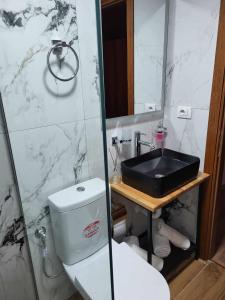 吉诺卡斯特Guest House Hasko的白色的浴室设有水槽和卫生间。