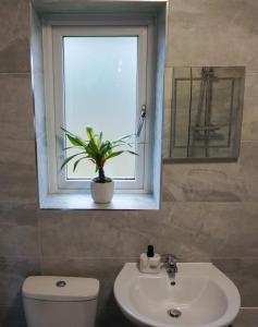 威根The Oasis的一间带卫生间、水槽和窗户的浴室