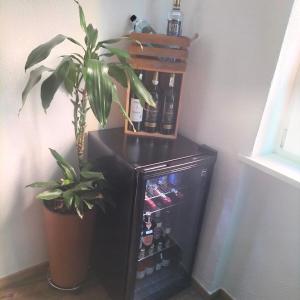 斯图加特01 Stuttgart Holiday的小型黑冰箱,装有植物和瓶装啤酒