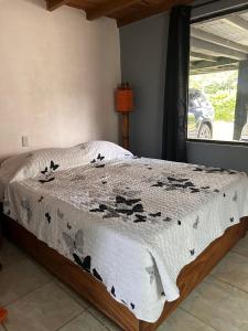 蒙泰韦尔德哥斯达黎加Monteverde Ecolove的卧室内的一张床铺,配有白色的床罩和窗户