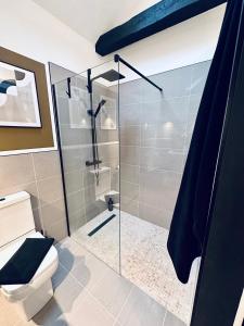 卡迪夫Luxury self-contained suite.的带淋浴和卫生间的浴室