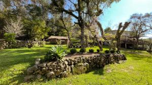 本图贡萨尔维斯Pousada do Bosque Bento的一座带石墙和树的花园