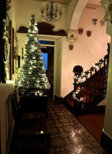 卡纳芬Caer Menai的屋 ⁇ 上的圣诞树