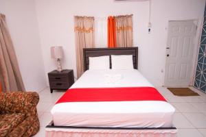 圣玛丽Suzette Guesthouse Accommodations的一间卧室配有一张大床和一张沙发