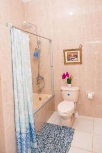 圣玛丽Suzette Guesthouse Accommodations的浴室设有卫生间和带浴帘的淋浴。
