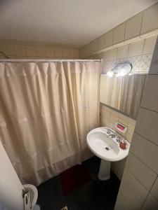 门多萨Depto Peatonal Mendoza的一间带水槽和淋浴帘的浴室